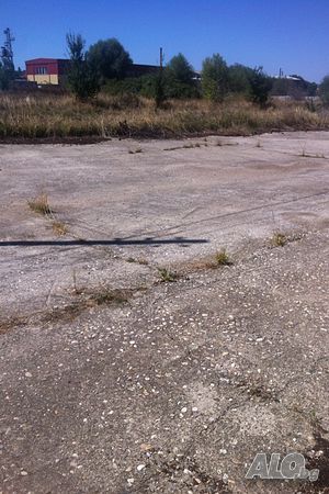 image_5