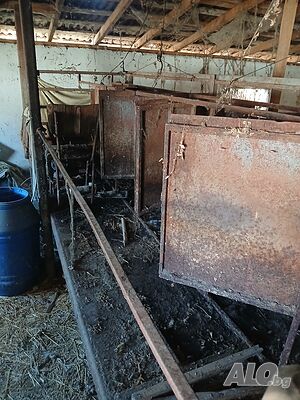 image_8