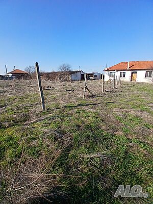 image_10