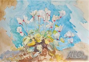 image_13