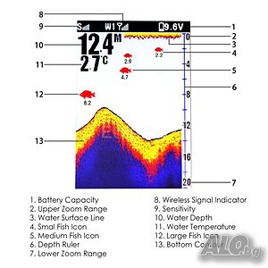 image_5