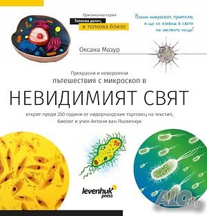 image_8