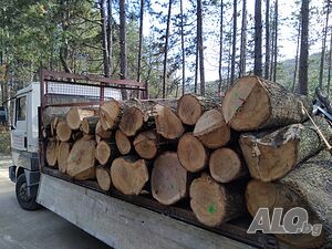 Продавам дърва за огрев метровки дъбови на 100лв кб доставка до адрес тел
