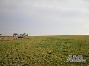 image_7