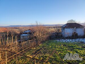 image_6