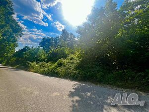 image_3