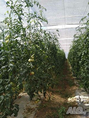 image_15