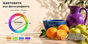 Курс Цветовете във фотографията, създай въздействие с подходящите съчетания, Курс по фотография Присъствено при учителя | Други курсове и обучение | Пловдив
