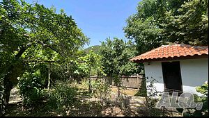 image_18