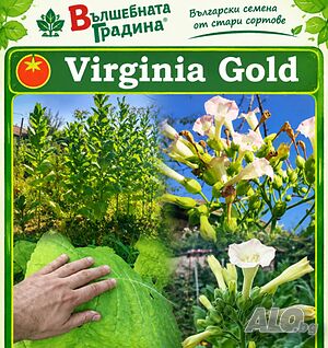 Семена за тютюн
