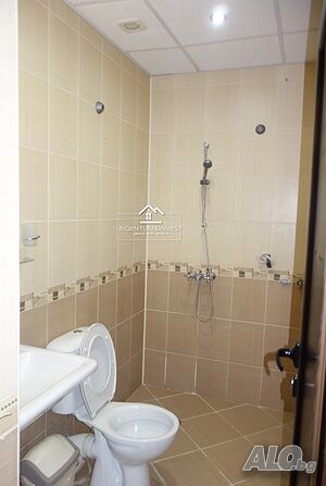 image_11