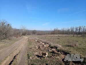 image_4