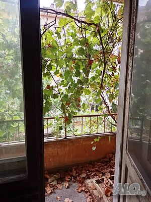 image_8