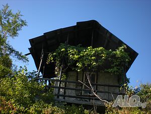 Къща в Пастуша