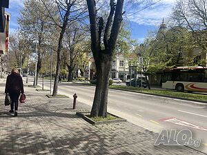 Помещение за търговска дейност, офис бул. Мария Луиза