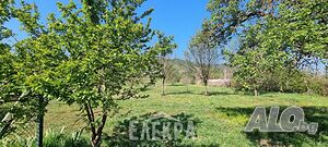 image_13