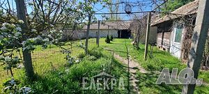 image_15