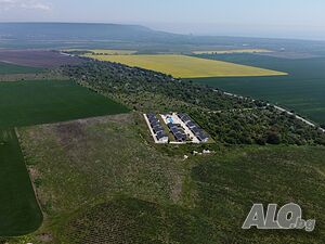 image_11