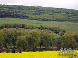 image_6