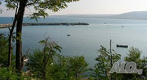 image_7