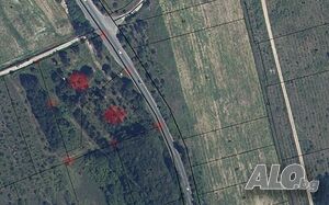 Два парцела с обща площ 9848м2 м-т Белите Поляни с. Близнаци