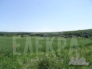 image_2