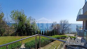 image_11