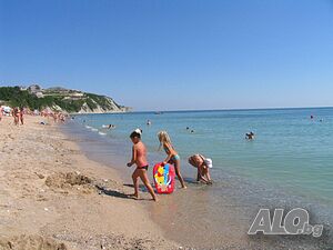 image_12