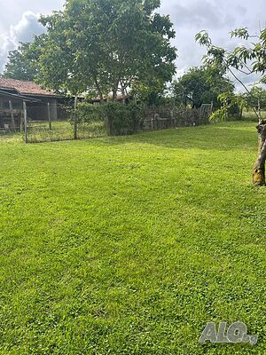 image_11