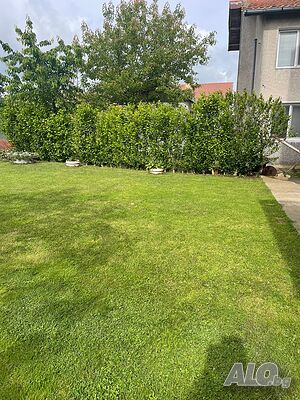 image_12