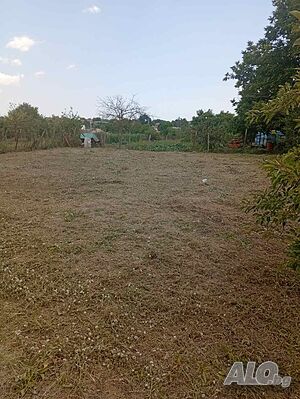 Собственик продава парцел в Банево в. з. острица2