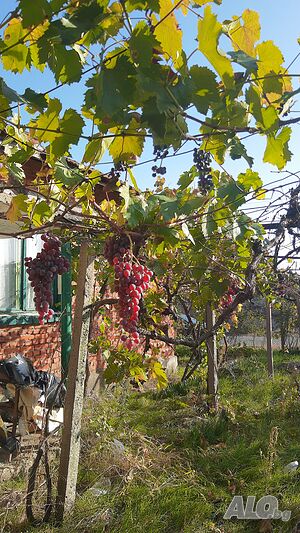 Продавам къща Ливада