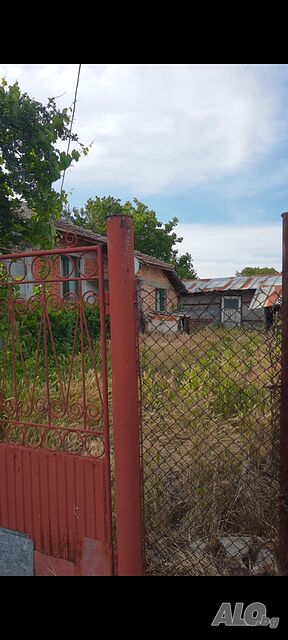 image_11