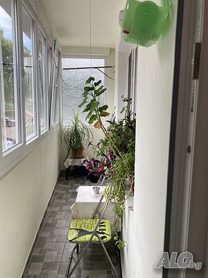 image_46