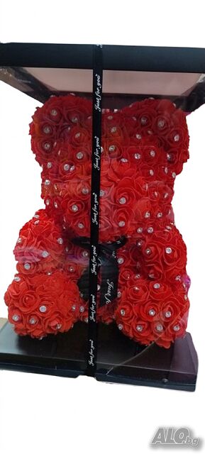 image_4