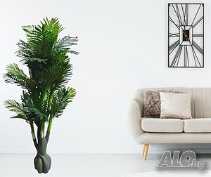image_3