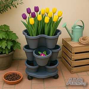 image_4