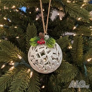 image_3
