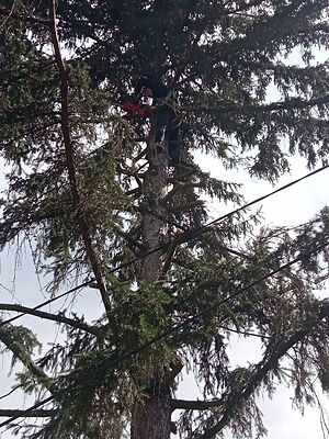 image_4