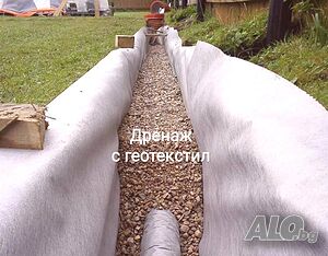 image_19