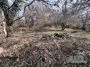 image_12