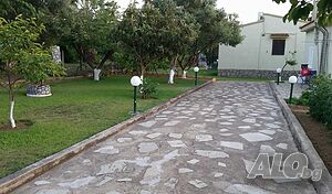 image_6