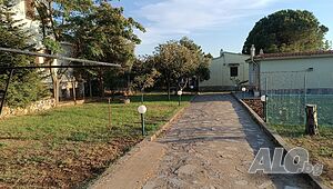 image_15