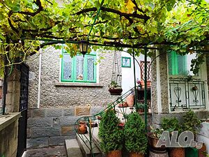 image_5