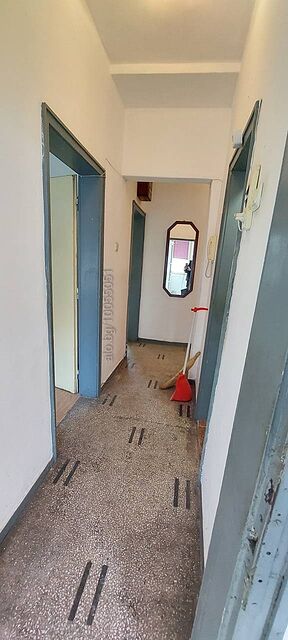 image_11