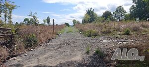 image_11