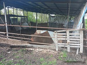 image_2