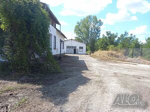 image_6