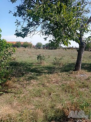 image_6
