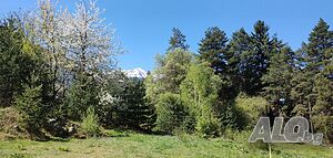 image_36